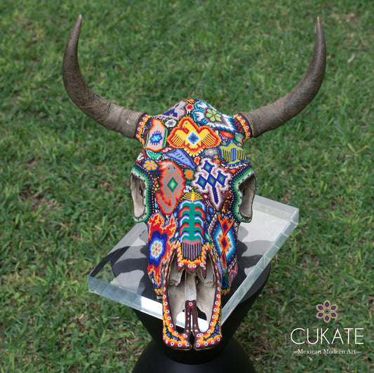 Cráneo de Toro