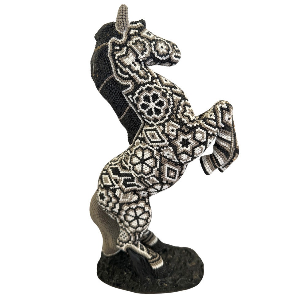 Caballo Huichol