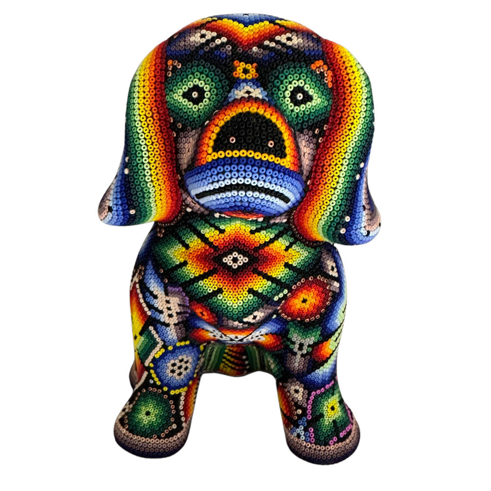 Perro Huichol