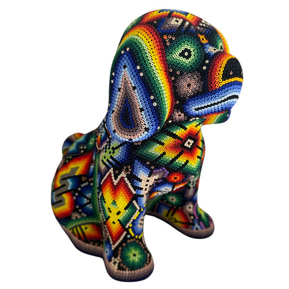 Perro Huichol