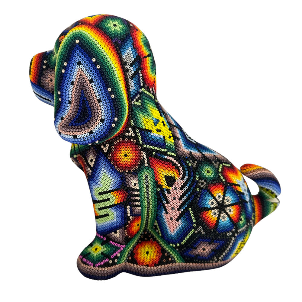 Perro Huichol